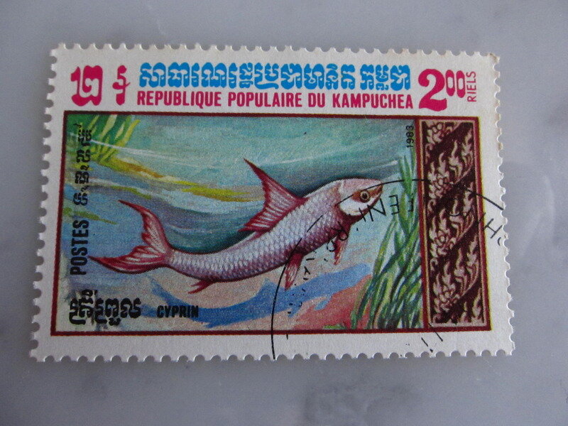 海外切手　カンボジア　淡水魚