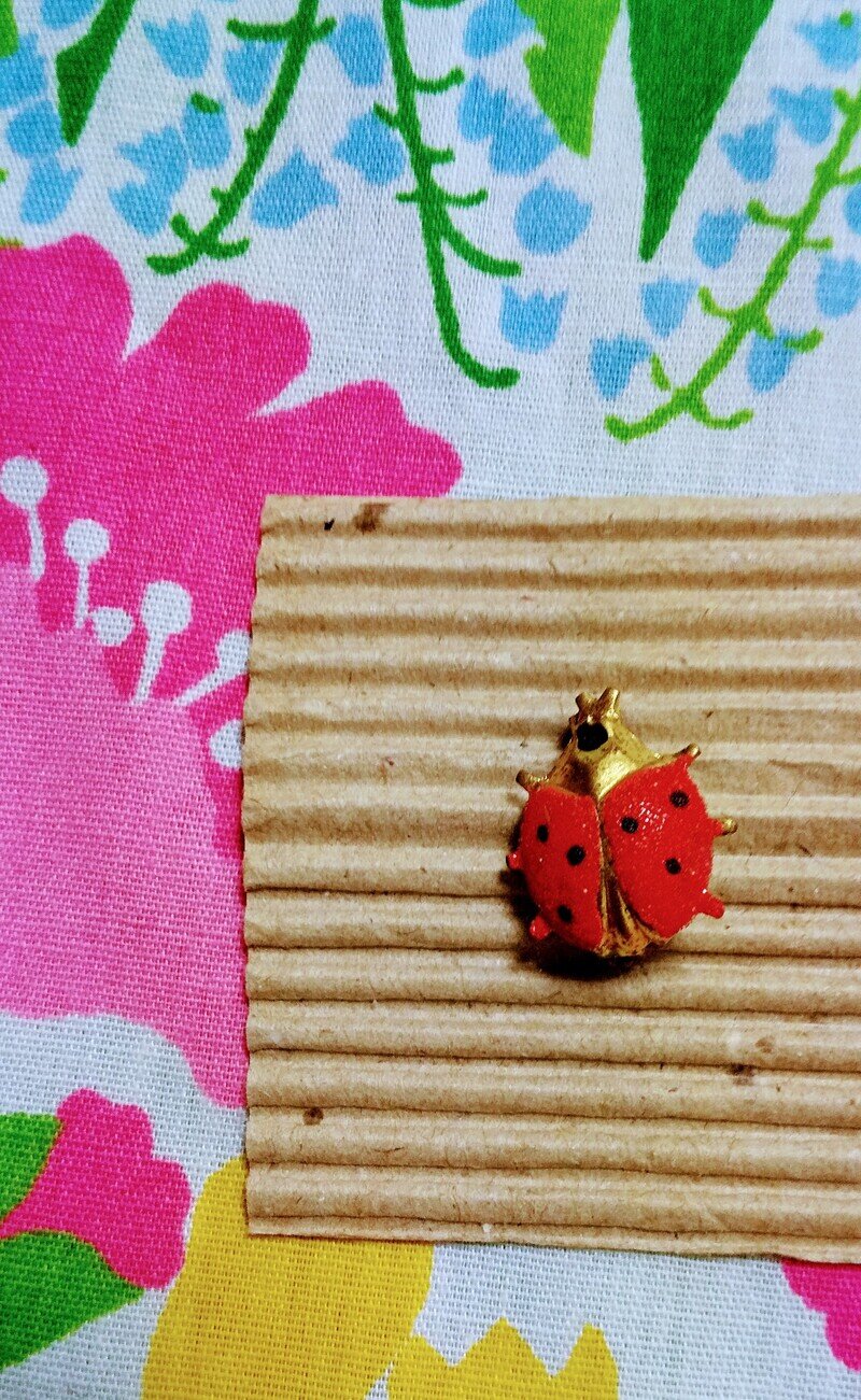Lady Bug 6☆