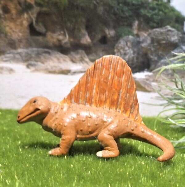 恐竜 ディメトロドン Dimetrodon 二種類の歯 の意 動物 Muuseo