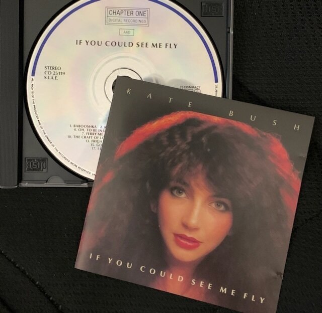 If you could see me fly / Kate Bush