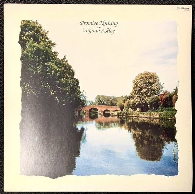 Promise Nothing / Virginia Astley