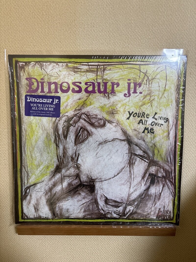 Dinosaur Jr./You're Living All Over Me