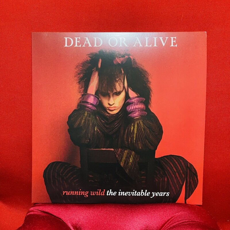 DEAD OR ALIVE "running wild the inevitable years"