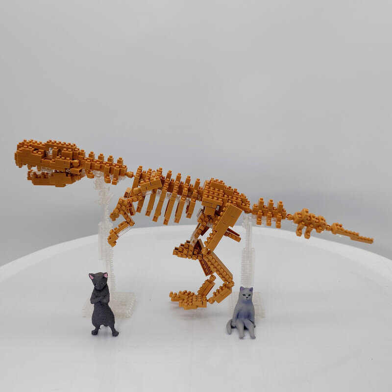 NBM_012 ティラノサウルス 骨格モデル