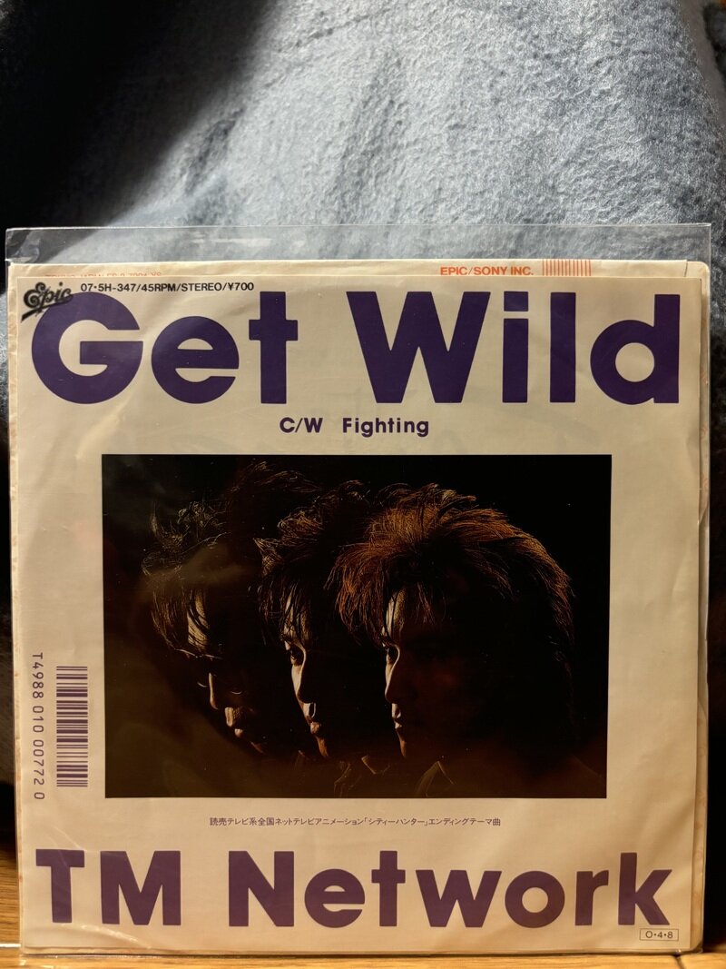 TM NETWORK 『Get Wild』