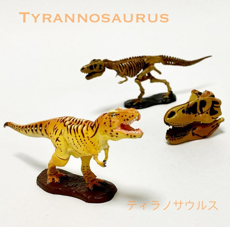 ティラノサウルス ［チョコラザウルス 第1弾］
