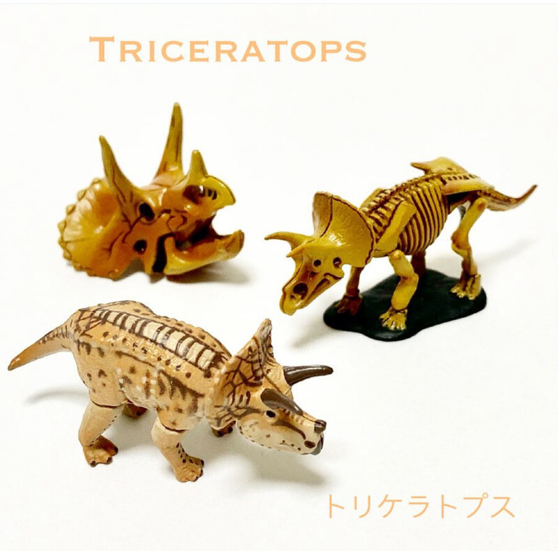 トリケラトプス ［チョコラザウルス  第1弾］