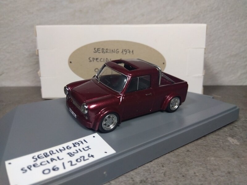 Mini Pick-up (Special built 06/2024)