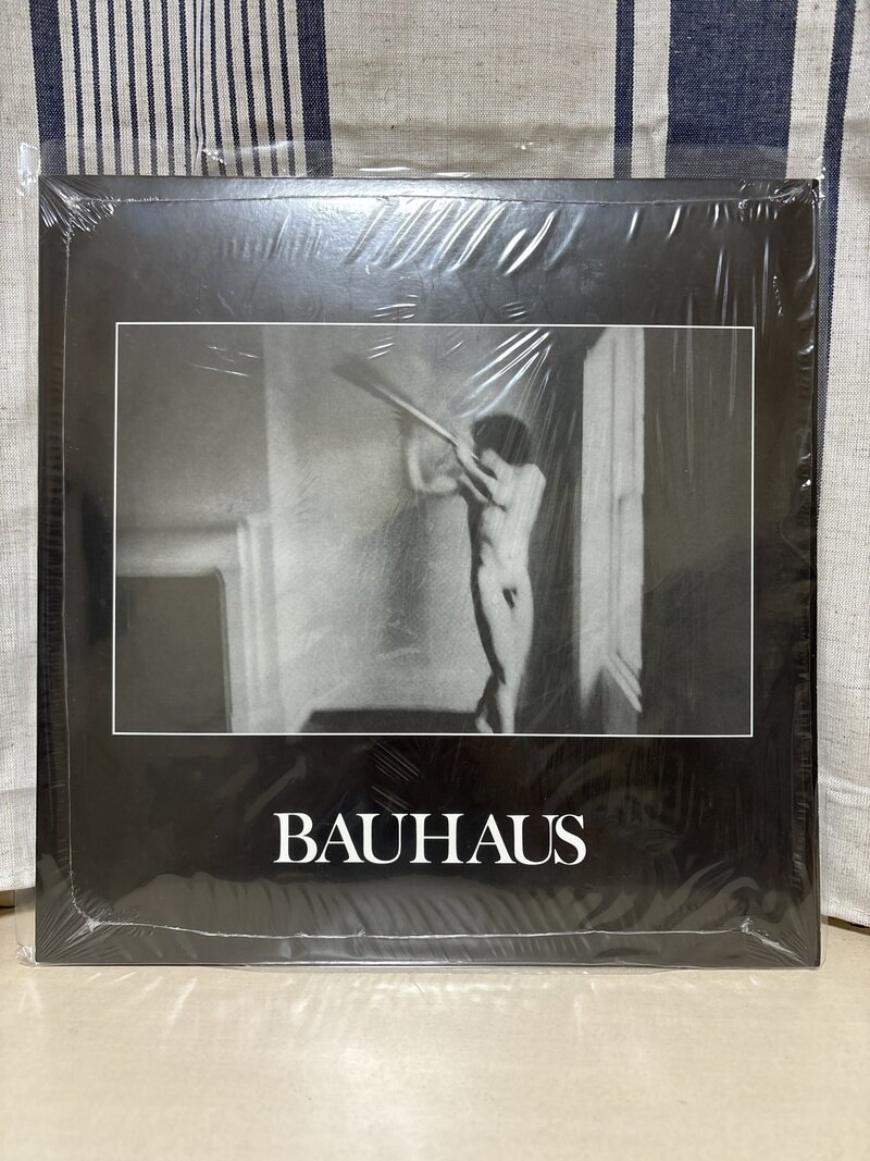 Bauhaus/In the Flat Field