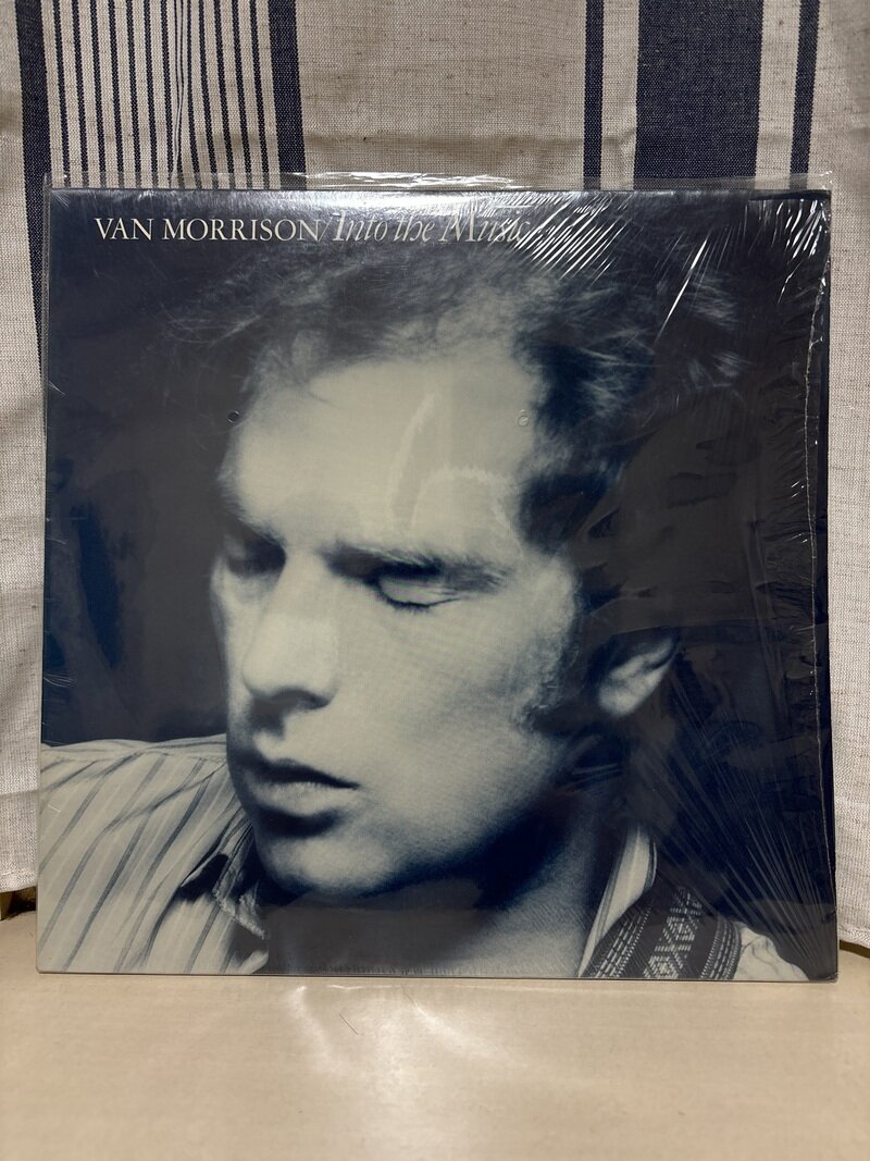 Van Morrison/Into the Music