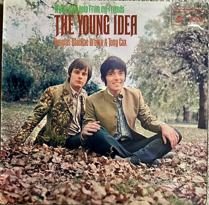 THE YOUNG IDEA / WITH A LITTLE HELP FROM MY FRIENDS