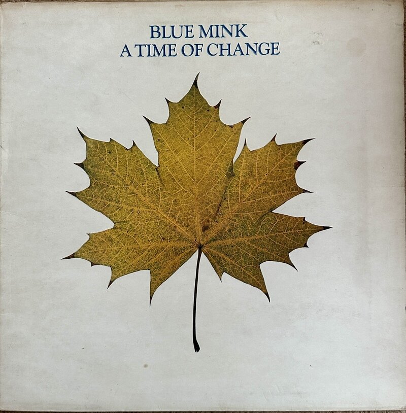 BLUE MINK / A TIME OF CHANGE