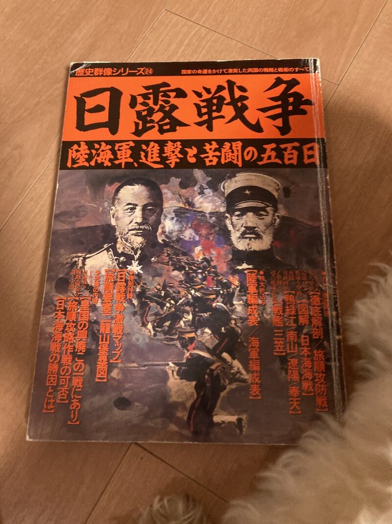 「日露戦争」（学研・歴史群像シリーズ）