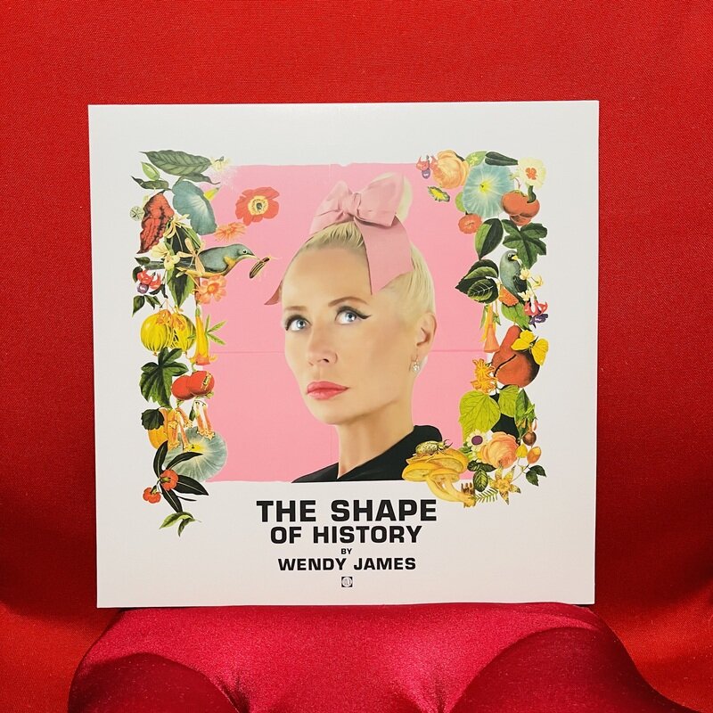 WENDY JAMES “THE SHAPE OF HISTORY”