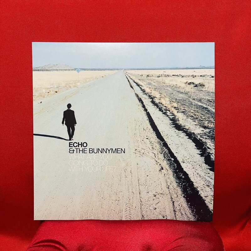 ECHO & THE BUNNYMEN “WHAT ARE YOU GOING TO DO WITH YOUR LIFE?”