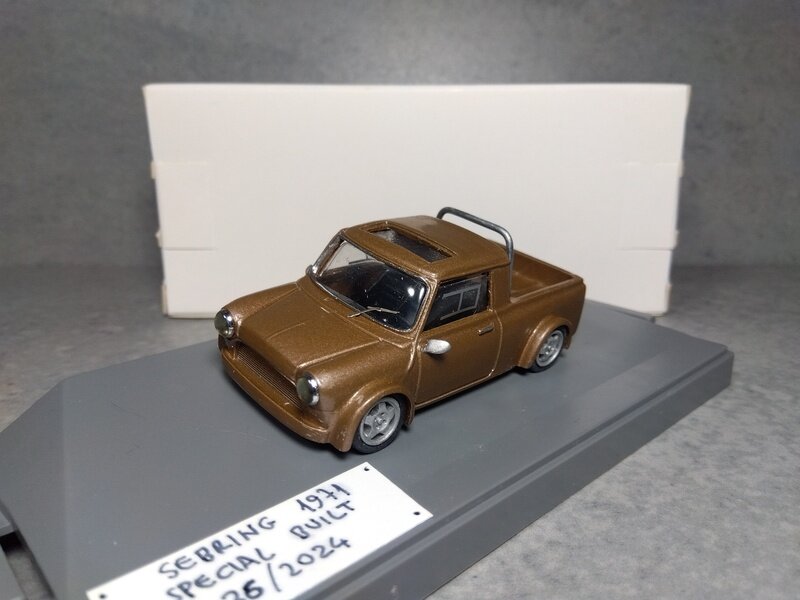 Mini Pick-up (Special built 036/2024)