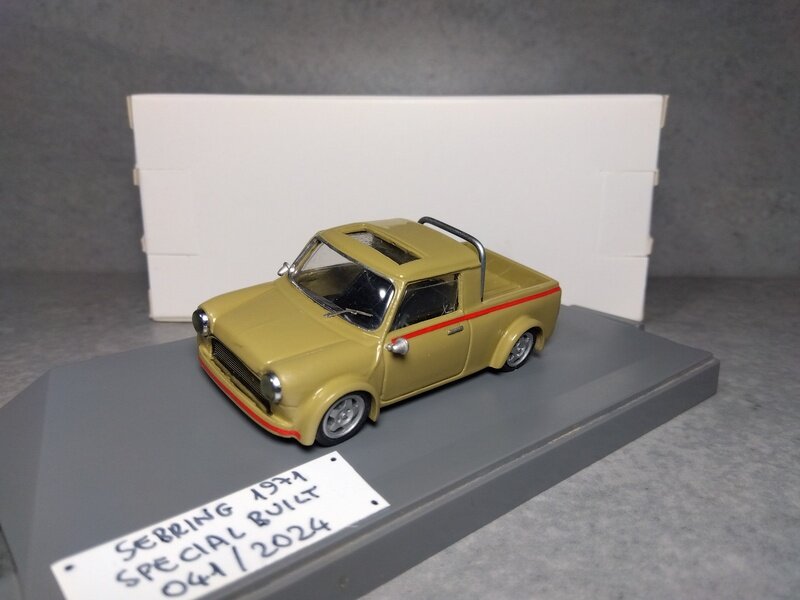 Mini Pick-up (Special built 041/2024)