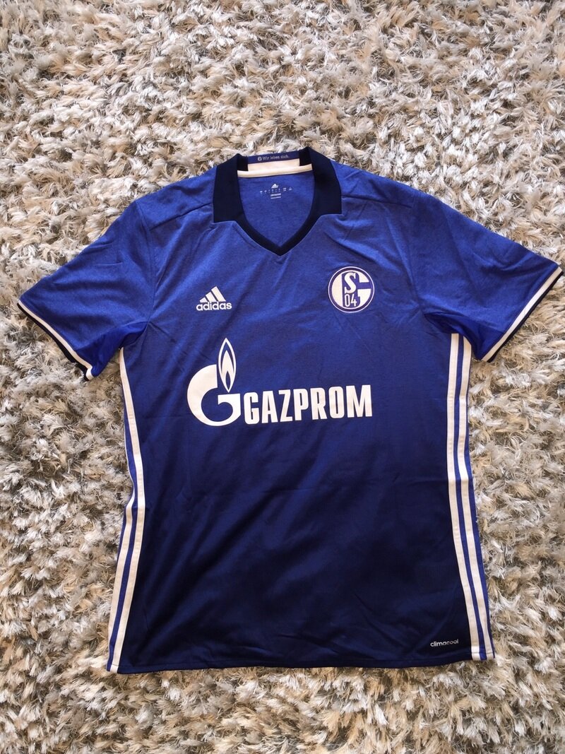Schalke 2016-17 Home