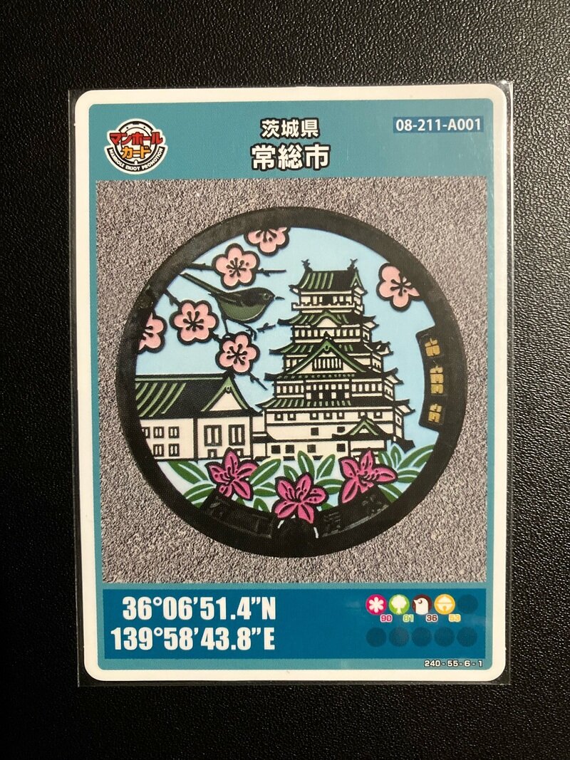 茨城県常総市（08-211-A001）